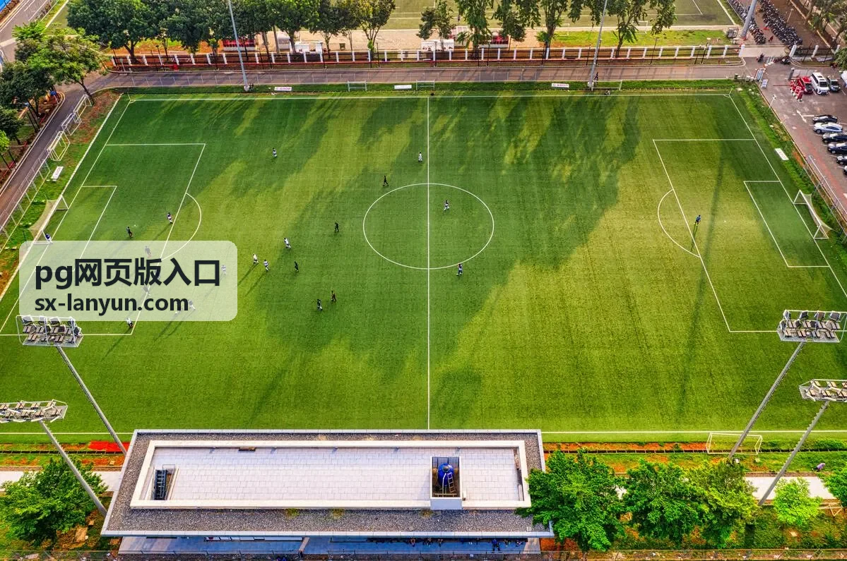 pg网页版入口在通勤路上使用手机打开的场景